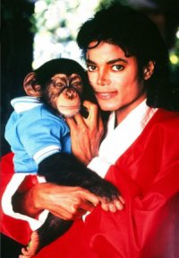 Таика Вайтити расскажет мультбиопик о шимпанзе Майкла Джексона