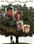 Постер «Семейное дерево»