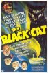 Постер «Чёрный кот»