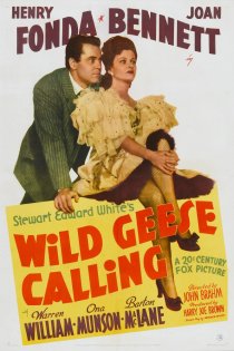 «Wild Geese Calling»