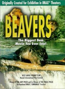 «Beavers»