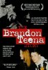 Постер «История Брэндона Тины»