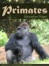 Постер «Primats»