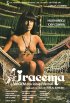 Постер «Iracema, a Virgem dos Lábios de Mel»