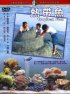 Постер «Тропические рыбы»