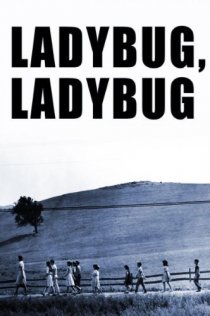 «Ladybug Ladybug»