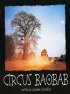 Постер «Circus Baobab»
