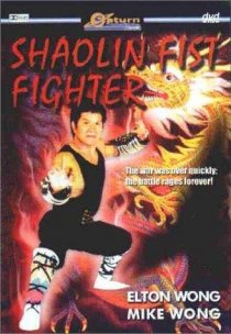 «Shaolin Fist Fighter»