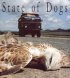 Постер «State of Dogs»