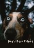Постер «Лучший друг собак»