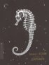 Постер «L'hippocampe, ou 'Cheval marin'»