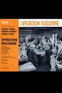 «Operation Bullshine»
