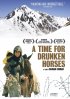 Постер «Время пьяных лошадей»