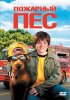 Постер «Пожарный пес»