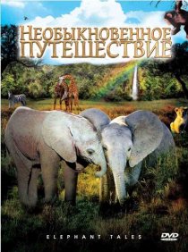 «Необыкновенное путешествие: История про двух слонят»