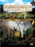 Постер «Необыкновенное путешествие: История про двух слонят»