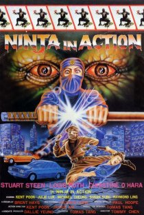 «Ninja in Action»