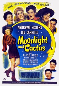 «Moonlight and Cactus»