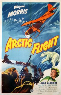 «Arctic Flight»