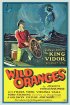 Постер «Дикие апельсины»