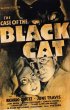 Постер «Дело о черном коте»