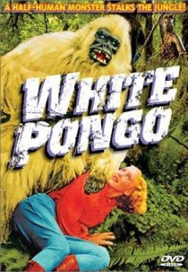 «White Pongo»