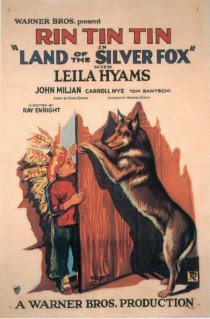 «Land of the Silver Fox»