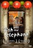 Постер «Рыба и слон»
