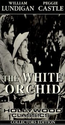 «The White Orchid»