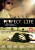 Постер «Идеальная жизнь»