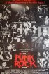 Постер «The Punk Rock Movie»