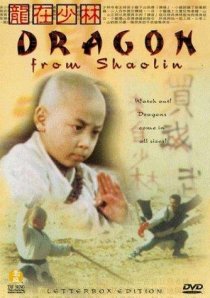 «Long zai Shaolin»