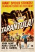Постер «Тарантул»