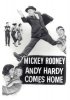 Постер «Энди Харди приходит домой»