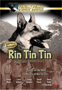 «The Return of Rin Tin Tin»