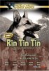 Постер «The Return of Rin Tin Tin»