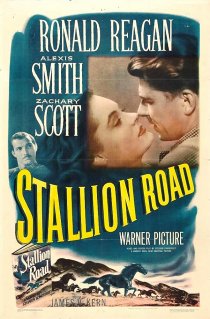 «Stallion Road»
