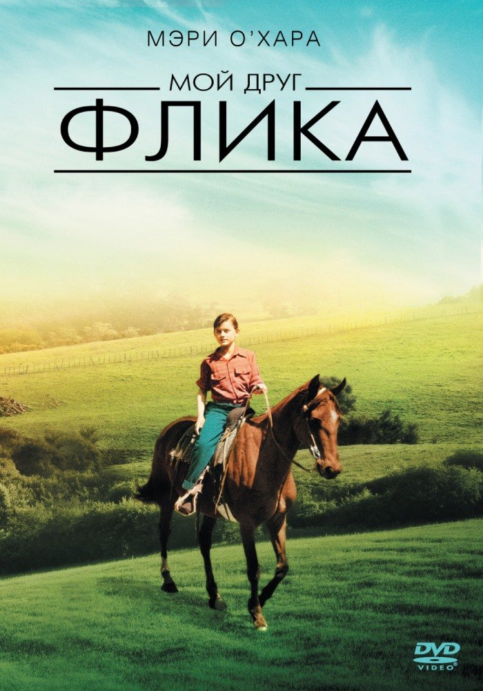 скачать фильм про лошадей