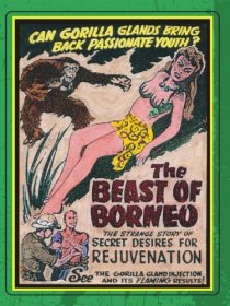 «The Beast of Borneo»