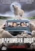 Постер «Паршивая овца»