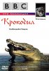 Постер «BBC: Крокодил»