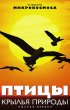 Постер «Птицы: Крылья природы»