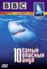 Постер «BBC: 10 самых опасных акул»