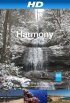 Постер «Harmony»