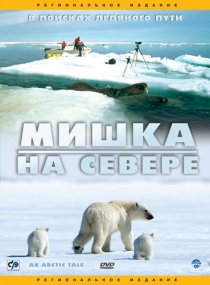 «Мишка на севере»