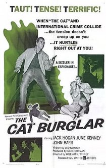 «The Cat Burglar»