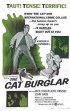 Постер «The Cat Burglar»