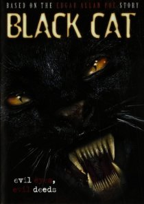 «Черная кошка»