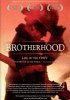 Постер «Brotherhood»