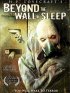 Постер «За стеной сна»
